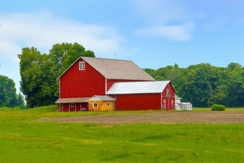 Barn Roof Replacement detail